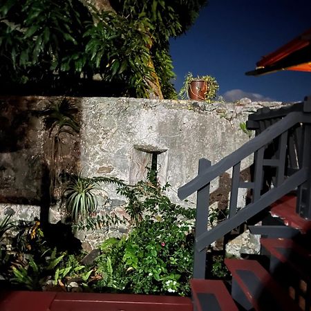 Апартаменти Mid-Century: Caribbean Style Contant  Екстер'єр фото